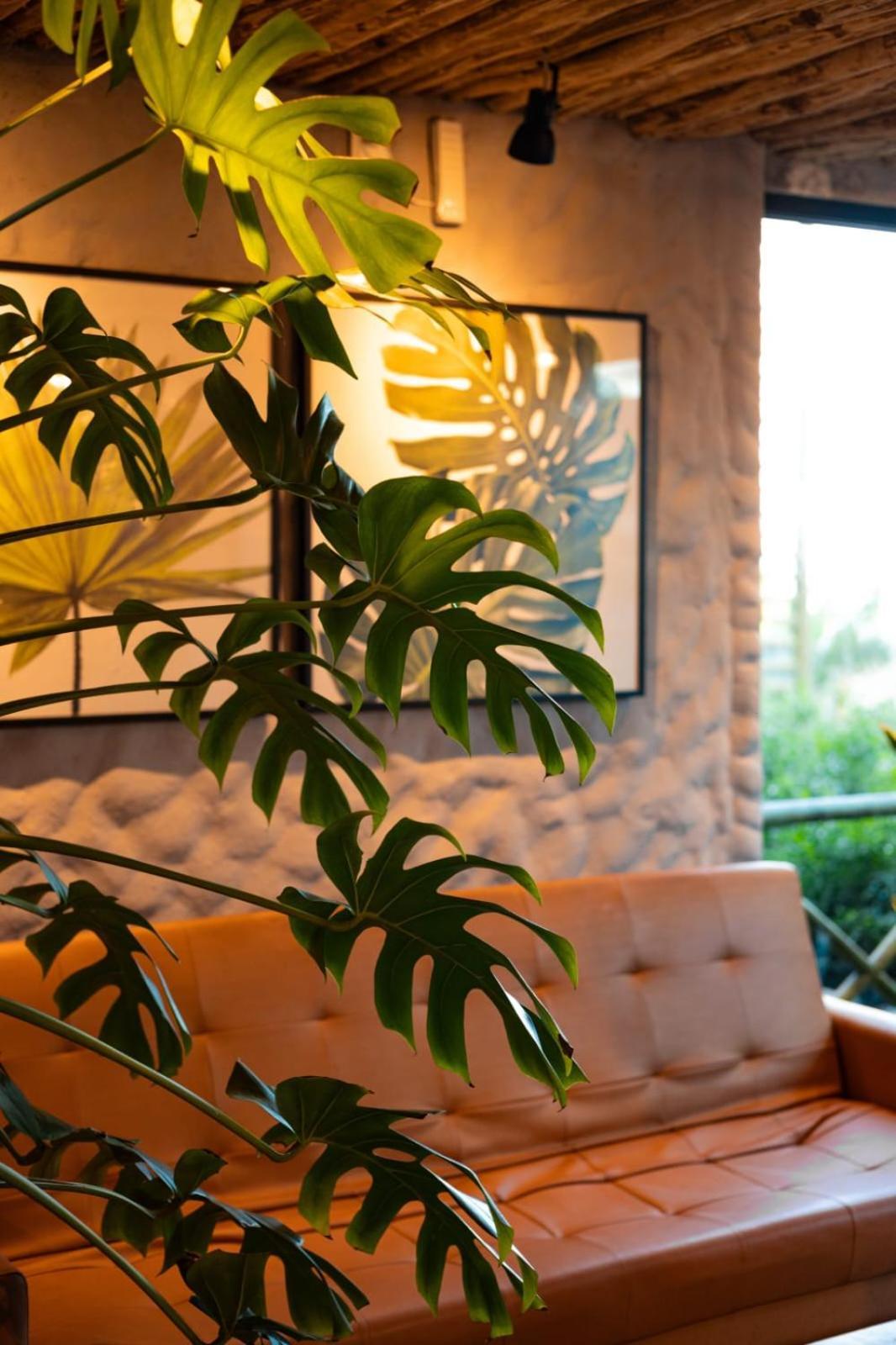 Vila De Taipa Exclusive Hotel Japaratinga Exterior photo